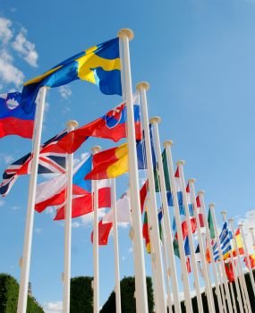 تصميم بدون عنوان (7)